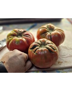 Tomato 'Flathead Monster Pink' Seeds (Naturally Grown)