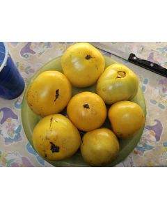 Tomato 'Manyel' Seeds (Naturally Grown)