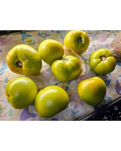 Tomato 'Winter Heart' Seeds (Naturally Grown)