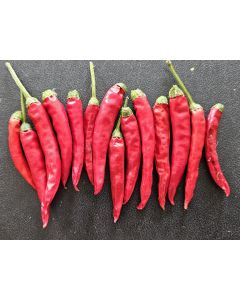Hot Pepper 'Bird's Eye' Seeds (Naturally Grown) 