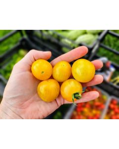Tomato 'Medium Yellow Cherry Detroit' Seeds