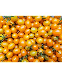 Tomato 'Galapagos Island' Seeds
