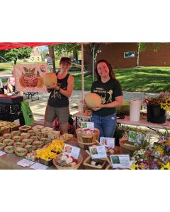 Cantaloupe 'Howell Melon' Seeds