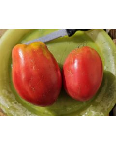 Tomato 'Tamara's San Marzano Pink Strain' Seeds (Certified Organic)
