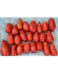 Tomato 'San Marzano' Seeds