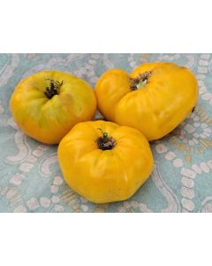 Tomato 'Three Fat Men Yellow' Seeds