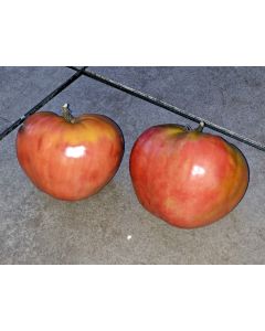 Tomato 'Bread and Salt' Seeds