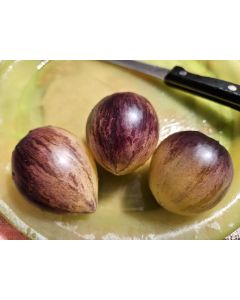 Tomato 'Rebel Starfighter Kayleigh Anne' Seeds