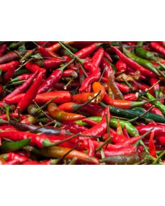 Hot Pepper ‘Red Thai’ Seeds (Naturally Grown)