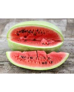 Watermelon 'Charleston Gray'