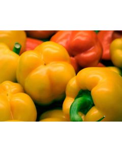 Bell Pepper 'Golden California Wonder' Seeds (Naturally Grown)