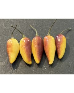Hot Pepper 'Pointy Puma Mix' Seeds