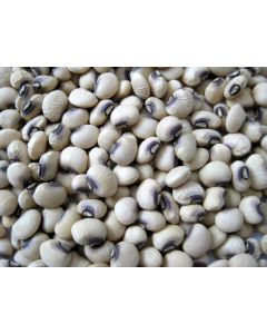 Cowpea 'Pinkeye Purple Hull'