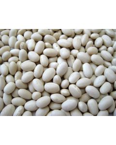 Snap Bean 'White Half Runner'