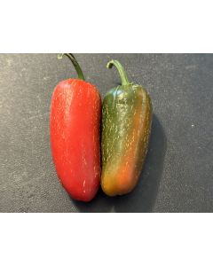 Sweet Pepper 'Nadapeño' Seeds