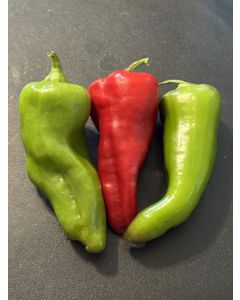 Sweet Pepper 'Cubanelle' Seeds