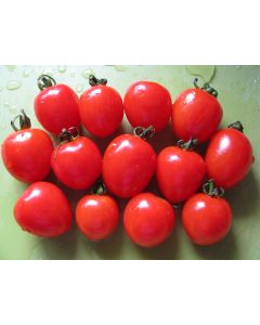 Tomato 'Tomatoberry F2'