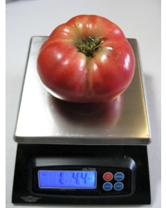 Tomato 'Tall Vine Brandywine'