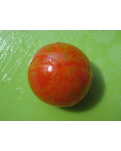 Tomato 'Turkish Striped Monastery'