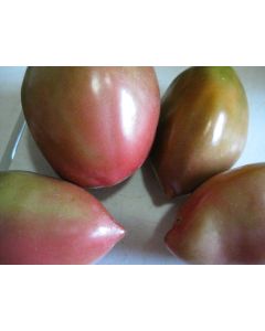 Tomato 'Purple Russian'