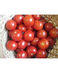 Tomato 'Fat Cherry'