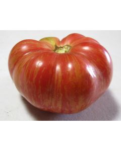 Tomato 'Vintage Wine'