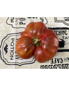 Tomato 'Purple Passion' Seeds (Naturally Grown)