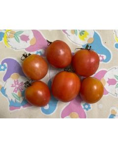 Tomato 'German Lunchbox' Seeds (Naturally Grown)