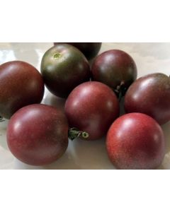 Tomato 'Chocolate Cherry' Plant