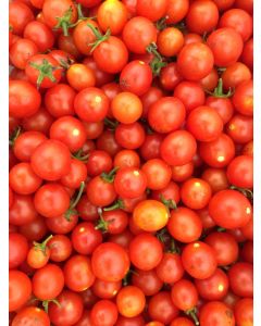 Tomato 'Hundreds and Thousands'
