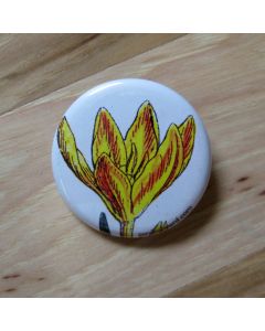 Yellow Crocus Pinback Button