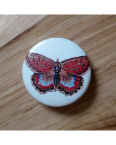 Orange Butterfly, Light Green Background Pinback Button