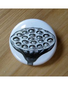 Water Lily/Lotus Seed Pod Pinback Button