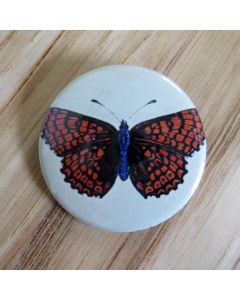 Orange and Black Butterfly, Light Green Background Pinback Button