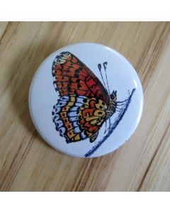 Orange and Blue Butterfly Pinback Button
