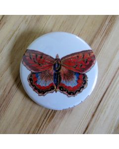 Orange Butterfly Pinback Button