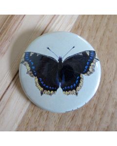 Black and Blue Butterfly, Light Green Background Pinback Button