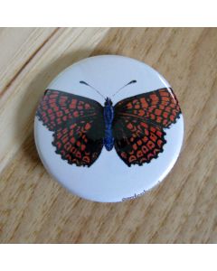 Orange and Black Butterfly Pinback Button
