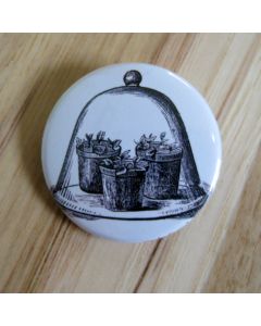 Cloche / Terrarium Pinback Button
