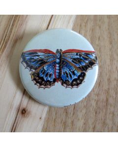 Blue Butterfly, Light Green Background Pinback Button