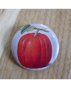 Pumpkin Pinback Button