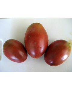 Tomato 'Darth Mater' 