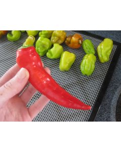 Hot Pepper ‘Cyklon' Seeds (Naturally Grown)