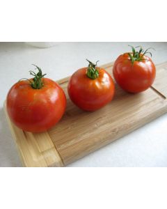 Tomato 'Grosse Lisse' 