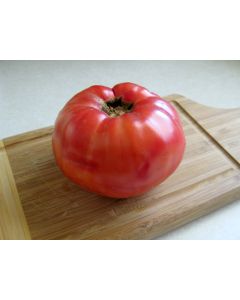Tomato 'Aussie Pink' 