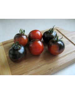 Tomato 'Indigo Rose'