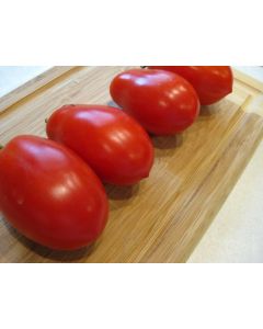 Tomato 'Martino's Roma' 