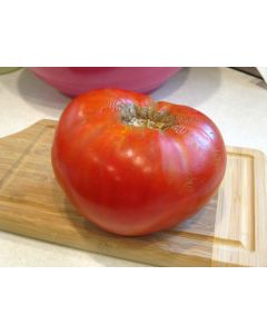 Tomato 'Delicious'