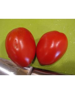 Tomato 'Rio Grande' 