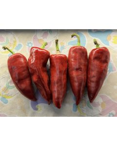 Hot Pepper ‘Chilhuacle Rojo' Seeds (Naturally Grown)